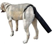 Protector de cola de perro, protector de cola de perro Cubierta de cola de perro para heridas Arnés de perro negro