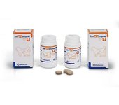 Bioiberica Impromune para Reforzar el Sistema Inmunitario para Perros y Gatos 40 tablets