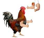 2 piezas de brazos de pollo, juguetes de brazos de pollo musculosos para que los pollos usen, juguetes de pollo de lucha de puños, manos de muñeca,...