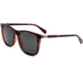 Gafas de sol Polaroid PLD 6103/S/X 086 HAVANA 56/16/145 HOMBRE Marrón 56 mm