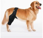 Heyone Rodillera de perro para perro pata trasera o trasera de corsé de ligamento cruzado anterior, pata trasera de corsé CCL (tamaño: M) Plata S