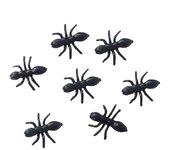 50 Pcs Juguetes de insectos Granja de hormigas hormigas vivas Reina Hormigas de plástico Hormiga figura Mini juguetes Negro 50pcs