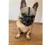 Bozal de perro para Bulldog Francés Frenchies A Otros hocicos similares Hocico corto (fb1, Negro)