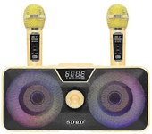 Micrófono inalámbrico Karaoke doméstico Micrófono dual Altavoz Bluetooth móvil oro