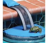 Rampa de escape de piscina para nadar con animales pequeños, rampa de escape de criaturas de piscina