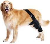 Heyone Rodillera de perro para perro pata trasera o trasera de corsé de ligamento cruzado anterior, pata trasera de corsé CCL (tamaño: M) Plata Large