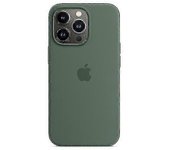 Funda de silicona para teléfono para Iphone 13 Pro 13pro Eucalipto