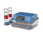 Incubadora totalmente automática de 24 huevos 2023 HOT