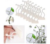 50 piezas de pasta gancho sin costura rábano verde fijador de pared de escalada fijador de plantas verde vid verde vid fijador de pared de escalada...