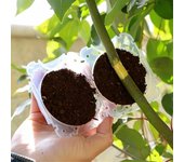 caja de crecimiento de raíz de árbol, herramientas de injerto de bola de enraizamiento, vainas de capas de aire, dispositivo de bola de injerto par...