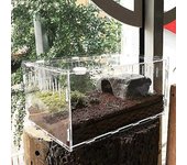 Mini caja de transporte de terrario, caja de cría de reptiles acrílica, caja de cría de reptiles portátil, caja de cría de reptiles transparente de...