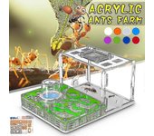 Mini Ant Nest Acrylic Ants Farm Insect Ant Workshop Pet Villa Educational & Learning Science Kit Toy para niños y adultos Verde