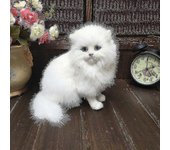 Joy For All - Gato plateado con guantes blancos - Mascotas de compañía interactivas - realistas y realistas