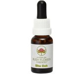 Australian Bush Flowers She Oak 15ml