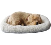 Sueño realista Respiración de felino Gato peludo Perro con estera Decoración creativa de animales Multicolor