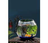 Calentador De Acuario Con Pantalla Digital 10w Mini Para Termostato De Agua Dulce Y Marina-dwdz