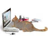 Portátil rascador de gato, Portátil de la almohadilla de rascador del gato con juguetes interactivos para gatos esponjosos del 'ratón', almohadilla...