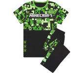 Vanilla Underground Minecraft Boys Manga Corta Pierna Larga Pijama Set Verde Creeper All-Over Print & Logo 11-12 Years