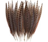 Ersam 30 piezas de plumas de faisán natural, pluma de cola de faisán de bricolaje, pluma de 15-28 cm de pluma nativa suave para sombreros de cabell...