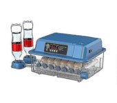 Incubadora totalmente automática de 24 huevos