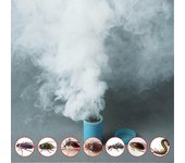 Juego de humo de insecticida potente para matar cucarachas de 4 piezas: control de plagas estilo aromaterapia para una erradicación rápida y comple...