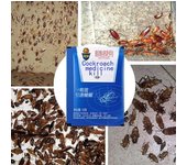 Qin 10PCS Medicina para cucarachas Insecticida en polvo Insecticida Pulgas Piojos Asesino de garrapatas Medicina para hormigas Insecticida Medicina...