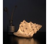Concha portátil Playa temática Luz nocturna para niños Adultos Dormitorio Lámpara de mesita de noche Iluminación náutica Funciona con baterías, cál...