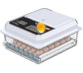 36 Incubadora de huevos totalmente automática