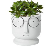 Macetas de cemento de la jardinera de la cara, maceta de cemento de la jardinera, pequeña maceta de cerámica para suculentas, gafas creativas, mace...