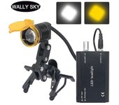 Luz frontal LED dental para lupas dentales Dentista con filtro amarillo Clip de gafas Lámpara recargable Brillo ajustable