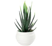 Aloe Vera falso realista, bonsái en maceta para la decoración del hogar, la oficina y la fiesta