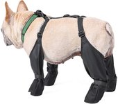 Botas de invierno para perros Antideslizantes, botas impermeables para perros con correa auxiliar, zapatos para perros con suela de goma resistente...