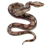 serpiente serpiente de goma falsas figuras de broma realistas pitonión keeppropsrattlesnake big real