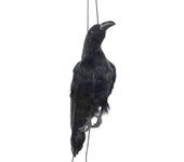 Señuelo de cuervo emplumado negro extra grande - Cuervo muerto colgante realista de tamaño natural