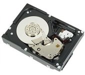 DELL 400-AUPW disco duro interno 3.5" 1 TB Serial ATA III