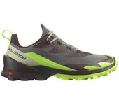 Zapatillas de montaña salomon cross over 2 gore-tex grey/green