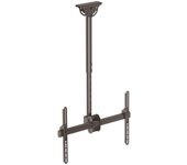 StarTech FPCEILPTBSP Soporte de Techo para TV 37"-75" VESA 600x400 Máx 50Kg