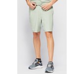 Pantalón Corto Nike - Verde - Pantalón Hombre talla S