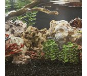 vidaXL Piedras de dragón mezcla de colores 10 kg 10-30 cm