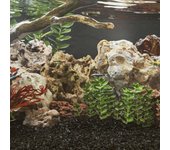 vidaXL Piedras de dragón mezcla de colores 25 kg 10-30 cm