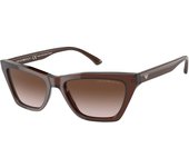 Emporio Armani 0EA4169 Gafas, Transparent Brown/Brown Shaded, 54 para Hombre