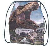 JURASSIC WORLD MC-503-JW, Bolsas Tipo Saco Unisex niños, Color, único