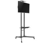 NewStar M1700E Soporte de Pie para TV 32''/55" VESA 600x450mm Máx 35Kg