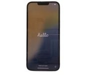 APPLE IPHONE 13 PRO MAX 256GB