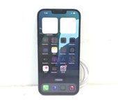 APPLE IPHONE 13 PRO MAX 256GB
