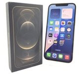 APPLE IPHONE 12 PRO MAX 256GB