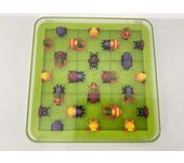 OTROS JUEGOS Y JUGUETES - INSECTOS