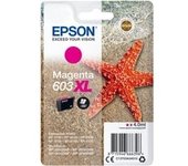Singlepack Magenta 603XL Ink, Tinta