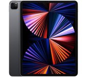 iPad Pro 12.9 (2021) 5.a generación 256 GB - WiFi + 5G - Gris Espacial