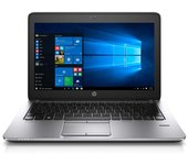 Hp EliteBook 725 G3 12" 2.1 GHz - SSD 256 GB - 8GB - QWERTZ - Alemán